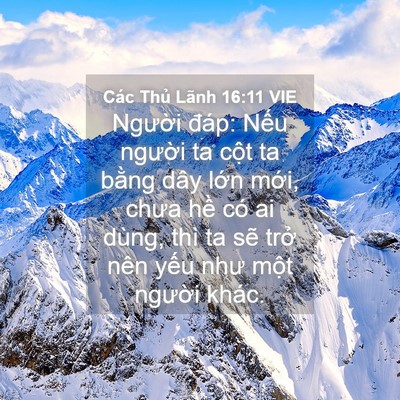 Picture 04 - Các Thủ Lãnh 16:11 VIE - Người đáp: Nếu người ta cột ta bằng - Bible Verse Picture