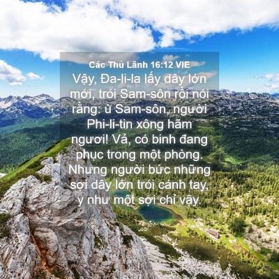 Picture 04 - Các Thủ Lãnh 16:12 VIE - Vậy, Đa-li-la lấy dây lớn mới, trói - Bible Verse Picture