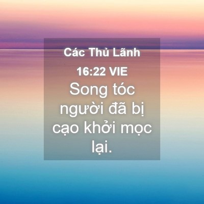 Picture 04 - Các Thủ Lãnh 16:22 VIE - Song tóc người đã bị cạo khởi mọc - Bible Verse Picture