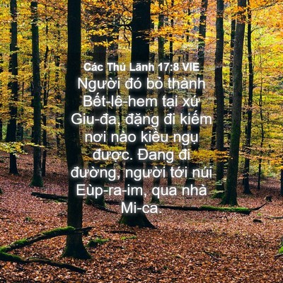Picture 04 - Các Thủ Lãnh 17:8 VIE - Người đó bỏ thành Bết-lê-hem tại - Bible Verse Picture