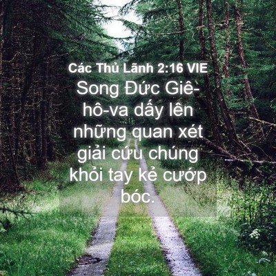 Picture 04 - Các Thủ Lãnh 2:16 VIE - Song Đức Giê-hô-va dấy lên những quan - Bible Verse Picture