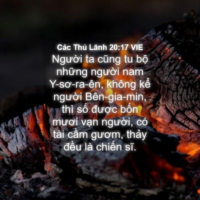 Picture 04 - Các Thủ Lãnh 20:17 VIE - Người ta cũng tu bộ những người nam - Bible Verse Picture