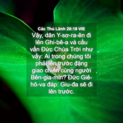 Picture 04 - Các Thủ Lãnh 20:18 VIE - Vậy, dân Y-sơ-ra-ên đi lên Ghi-bê-a và - Bible Verse Picture