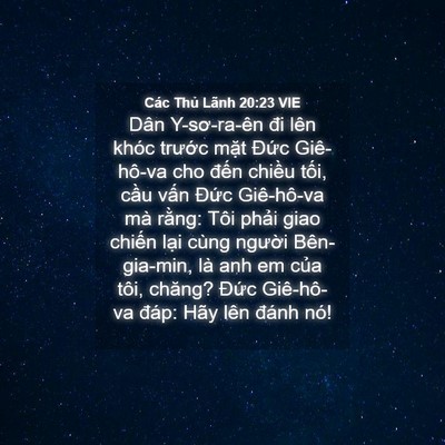 Picture 04 - Các Thủ Lãnh 20:23 VIE - Dân Y-sơ-ra-ên đi lên khóc trước mặt - Bible Verse Picture