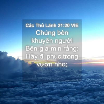 Picture 04 - Các Thủ Lãnh 21:20 VIE - Chúng bèn khuyên người Bên-gia-min rằng: - Bible Verse Picture