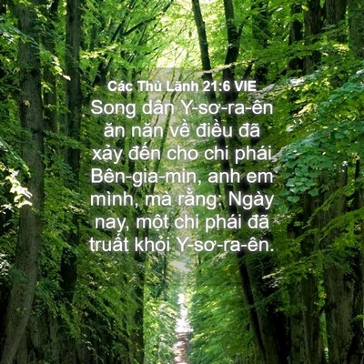Picture 04 - Các Thủ Lãnh 21:6 VIE - Song dân Y-sơ-ra-ên ăn năn về điều đã - Bible Verse Picture