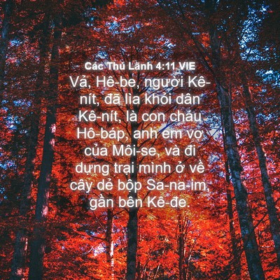 Picture 04 - Các Thủ Lãnh 4:11 VIE - Vả, Hê-be, người Kê-nít, đã lìa khỏi - Bible Verse Picture