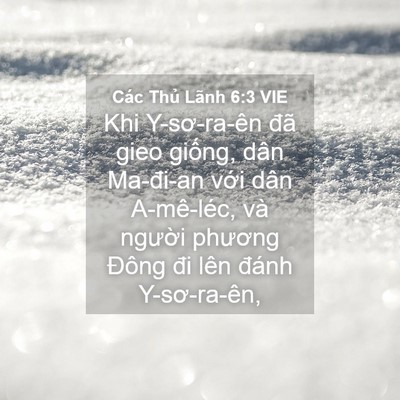 Picture 04 - Các Thủ Lãnh 6:3 VIE - Khi Y-sơ-ra-ên đã gieo giống, dân - Bible Verse Picture