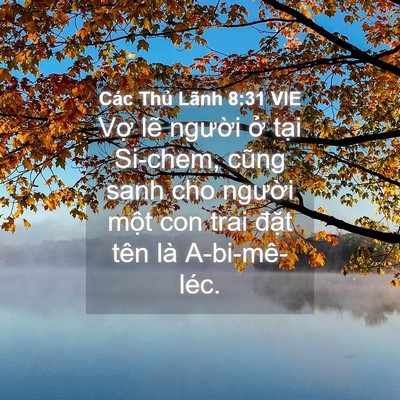 Picture 04 - Các Thủ Lãnh 8:31 VIE - Vợ lẽ người ở tại Si-chem, cũng sanh - Bible Verse Picture