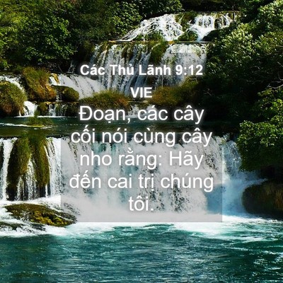 Picture 04 - Các Thủ Lãnh 9:12 VIE - Đoạn, các cây cối nói cùng cây nho - Bible Verse Picture