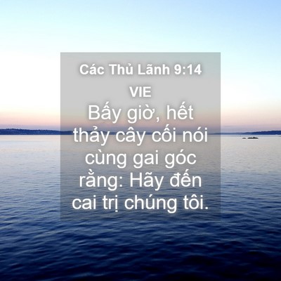 Picture 04 - Các Thủ Lãnh 9:14 VIE - Bấy giờ, hết thảy cây cối nói cùng - Bible Verse Picture