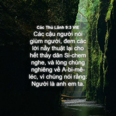 Picture 04 - Các Thủ Lãnh 9:3 VIE - Các cậu người nói giùm người, đem - Bible Verse Picture