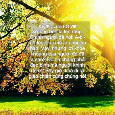 Picture 04 - Các Thủ Lãnh 9:38 VIE - Xê-bun bèn la lên rằng: Chính ngươi đã - Bible Verse Picture