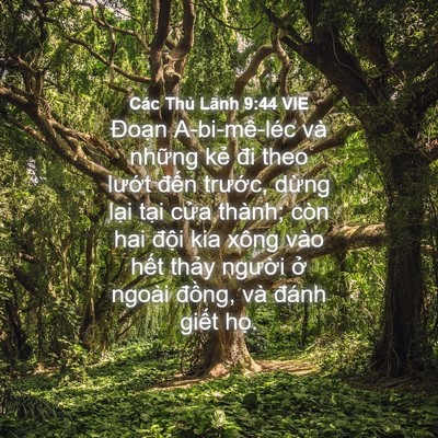 Picture 04 - Các Thủ Lãnh 9:44 VIE - Đoạn A-bi-mê-léc và những kẻ đi theo - Bible Verse Picture