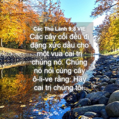 Picture 04 - Các Thủ Lãnh 9:8 VIE - Các cây cối đều đi đặng xức dầu - Bible Verse Picture