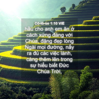 Picture 04 - Cô-lô-se 1:10 VIE - hầu cho anh em ăn ở cách xứng đáng - Bible Verse Picture
