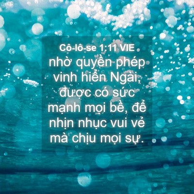 Picture 04 - Cô-lô-se 1:11 VIE - nhờ quyền phép vinh hiển Ngài, được - Bible Verse Picture