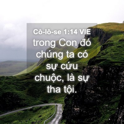 Picture 04 - Cô-lô-se 1:14 VIE - trong Con đó chúng ta có sự cứu chuộc, - Bible Verse Picture