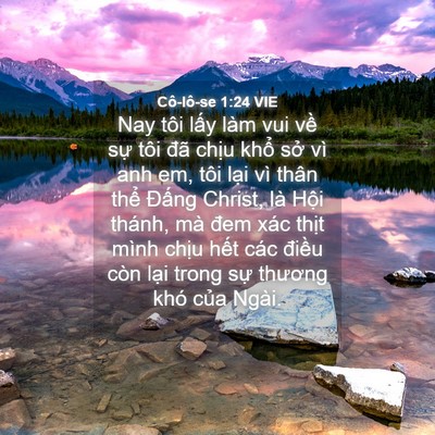 Picture 04 - Cô-lô-se 1:24 VIE - Nay tôi lấy làm vui về sự tôi đã - Bible Verse Picture