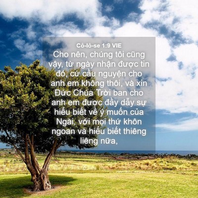 Picture 04 - Cô-lô-se 1:9 VIE - Cho nên, chúng tôi cũng vậy, từ ngày - Bible Verse Picture