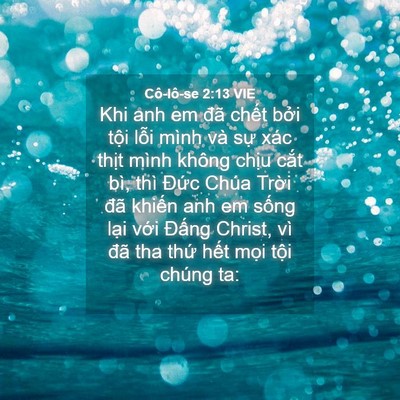 Picture 04 - Cô-lô-se 2:13 VIE - Khi anh em đã chết bởi tội lỗi mình - Bible Verse Picture