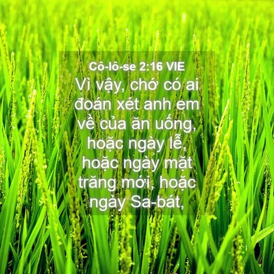 Picture 04 - Cô-lô-se 2:16 VIE - Vì vậy, chớ có ai đoán xét anh em về - Bible Verse Picture