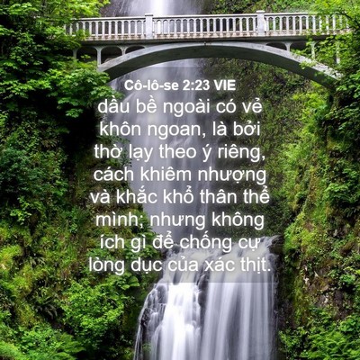 Picture 04 - Cô-lô-se 2:23 VIE - dầu bề ngoài có vẻ khôn ngoan, là bởi - Bible Verse Picture