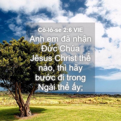 Picture 04 - Cô-lô-se 2:6 VIE - Anh em đã nhận Đức Chúa Jêsus Christ - Bible Verse Picture