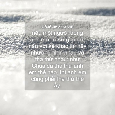 Picture 04 - Cô-lô-se 3:13 VIE - nếu một người trong anh em có sự gì - Bible Verse Picture