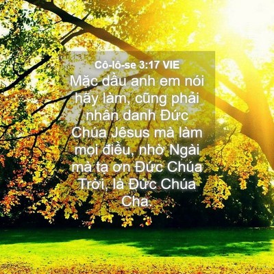 Picture 04 - Cô-lô-se 3:17 VIE - Mặc dầu anh em nói hãy làm, cũng phải - Bible Verse Picture