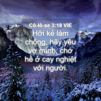 Picture 04 - Cô-lô-se 3:19 VIE - Hỡi kẻ làm chồng, hãy yêu vợ mình, - Bible Verse Picture
