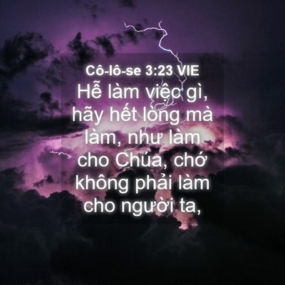 Picture 04 - Cô-lô-se 3:23 VIE - Hễ làm việc gì, hãy hết lòng mà làm, - Bible Verse Picture