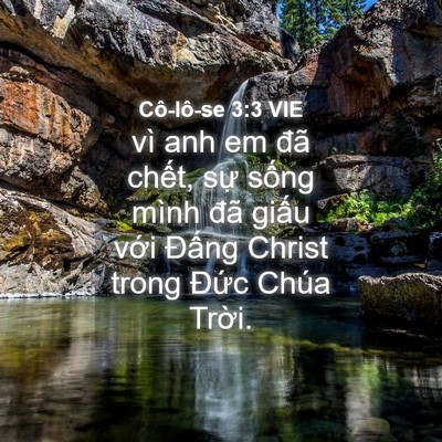Picture 04 - Cô-lô-se 3:3 VIE - vì anh em đã chết, sự sống mình đã - Bible Verse Picture