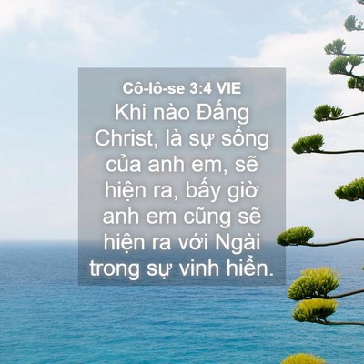 Picture 04 - Cô-lô-se 3:4 VIE - Khi nào Đấng Christ, là sự sống của - Bible Verse Picture