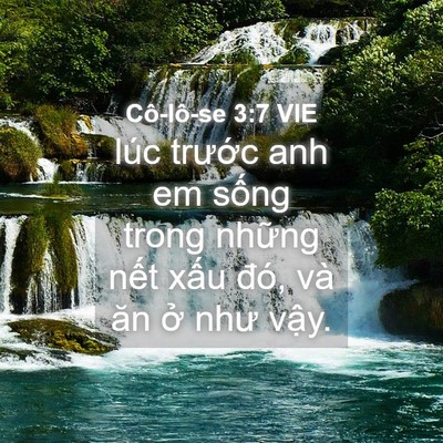 Picture 04 - Cô-lô-se 3:7 VIE - lúc trước anh em sống trong những nết - Bible Verse Picture