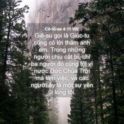 Picture 04 - Cô-lô-se 4:11 VIE - Giê-su gọi là Giúc-tu cũng có lời thăm - Bible Verse Picture