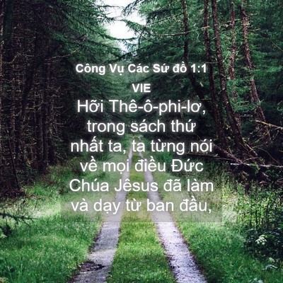 Picture 04 - Công Vụ Các Sứ đồ 1:1 VIE - Hỡi Thê-ô-phi-lơ, trong sách thứ nhất - Bible Verse Picture