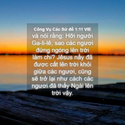 Picture 04 - Công Vụ Các Sứ đồ 1:11 VIE - và nói rằng: Hỡi người Ga-li-lê, sao - Bible Verse Picture