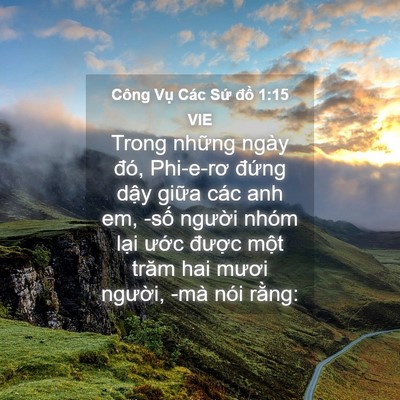 Picture 04 - Công Vụ Các Sứ đồ 1:15 VIE - Trong những ngày đó, Phi-e-rơ đứng dậy - Bible Verse Picture