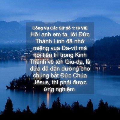 Picture 04 - Công Vụ Các Sứ đồ 1:16 VIE - Hỡi anh em ta, lời Đức Thánh Linh đã - Bible Verse Picture