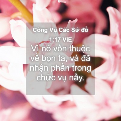 Picture 04 - Công Vụ Các Sứ đồ 1:17 VIE - Vì nó vốn thuộc về bọn ta, và đã - Bible Verse Picture