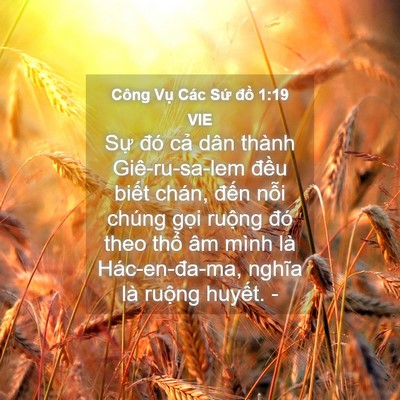 Picture 04 - Công Vụ Các Sứ đồ 1:19 VIE - Sự đó cả dân thành Giê-ru-sa-lem đều - Bible Verse Picture