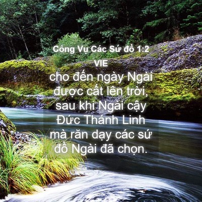 Picture 04 - Công Vụ Các Sứ đồ 1:2 VIE - cho đến ngày Ngài được cất lên - Bible Verse Picture