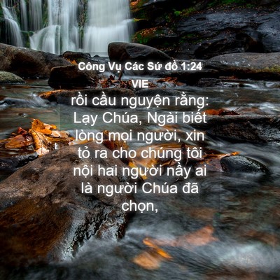 Picture 04 - Công Vụ Các Sứ đồ 1:24 VIE - rồi cầu nguyện rằng: Lạy Chúa, Ngài - Bible Verse Picture