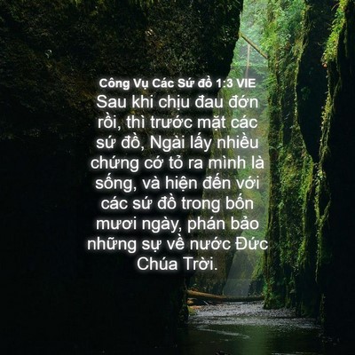Picture 04 - Công Vụ Các Sứ đồ 1:3 VIE - Sau khi chịu đau đớn rồi, thì trước - Bible Verse Picture