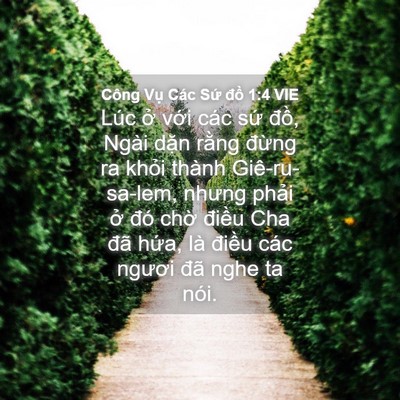 Picture 04 - Công Vụ Các Sứ đồ 1:4 VIE - Lúc ở với các sứ đồ, Ngài dặn - Bible Verse Picture