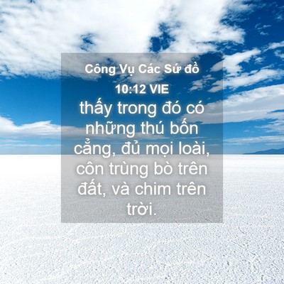 Picture 04 - Công Vụ Các Sứ đồ 10:12 VIE - thấy trong đó có những thú bốn cẳng, - Bible Verse Picture