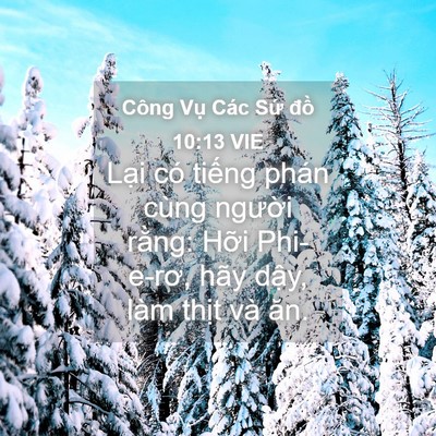 Picture 04 - Công Vụ Các Sứ đồ 10:13 VIE - Lại có tiếng phán cùng người rằng: - Bible Verse Picture