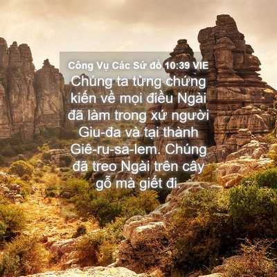 Picture 04 - Công Vụ Các Sứ đồ 10:39 VIE - Chúng ta từng chứng kiến về mọi - Bible Verse Picture