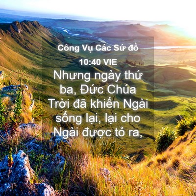 Picture 04 - Công Vụ Các Sứ đồ 10:40 VIE - Nhưng ngày thứ ba, Đức Chúa Trời đã - Bible Verse Picture